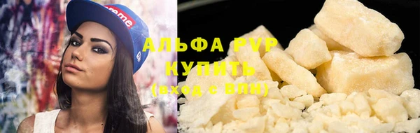 стаф Белокуриха