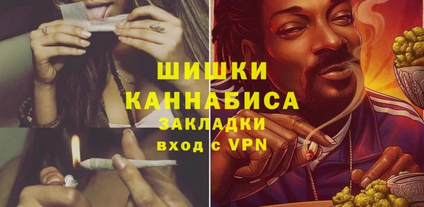 стаф Белокуриха
