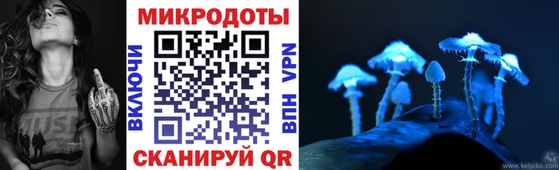 Галлюциногенные грибы мицелий  Купить закладки  Горбатов 